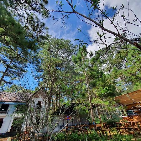 Chino Homestay Măng Đen Kon Tum Ngoại thất bức ảnh