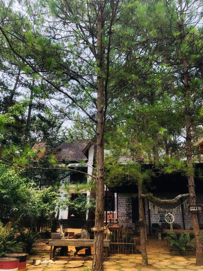 Chino Homestay Măng Đen Kon Tum Ngoại thất bức ảnh