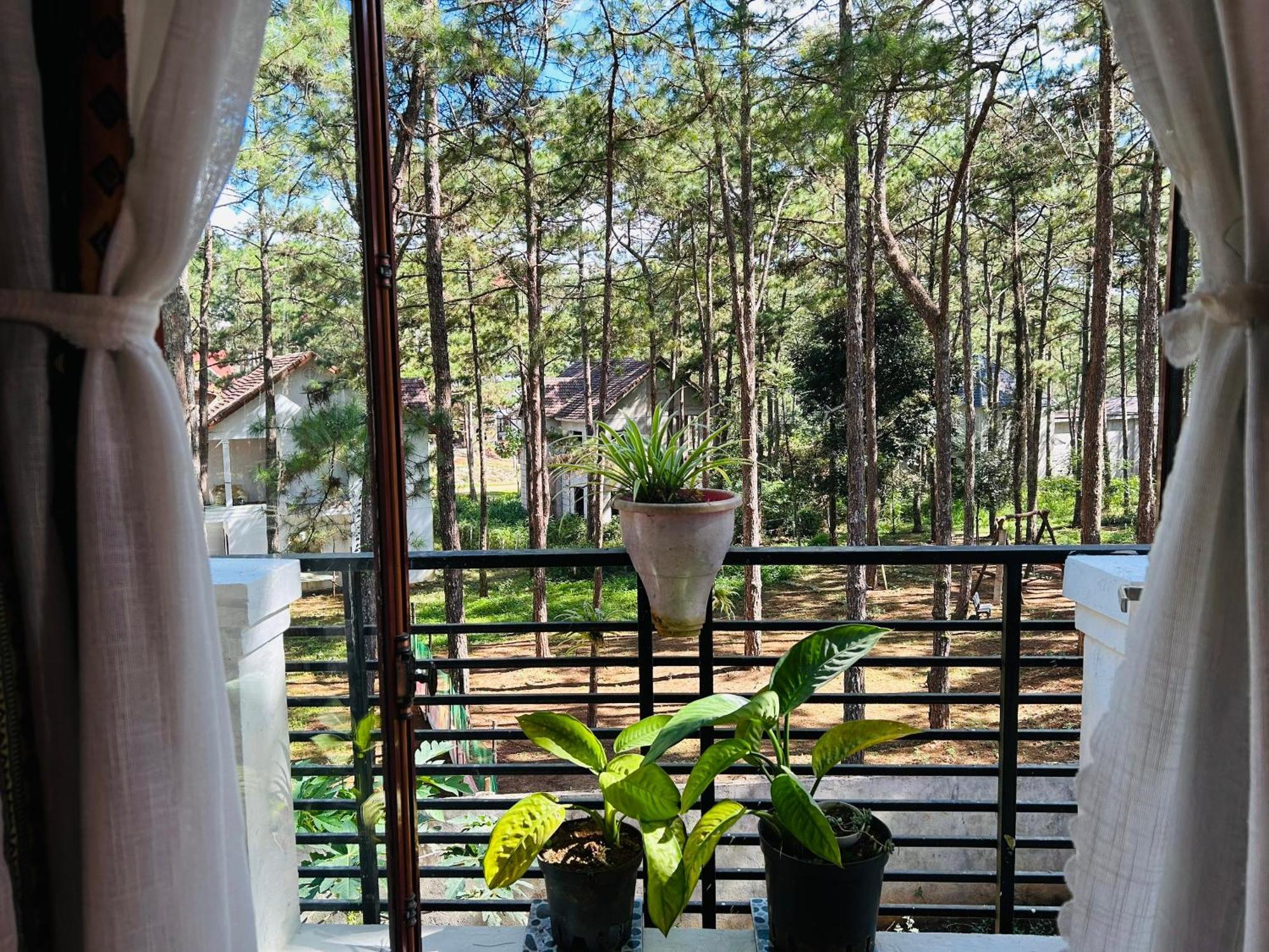 Chino Homestay Măng Đen Kon Tum Ngoại thất bức ảnh