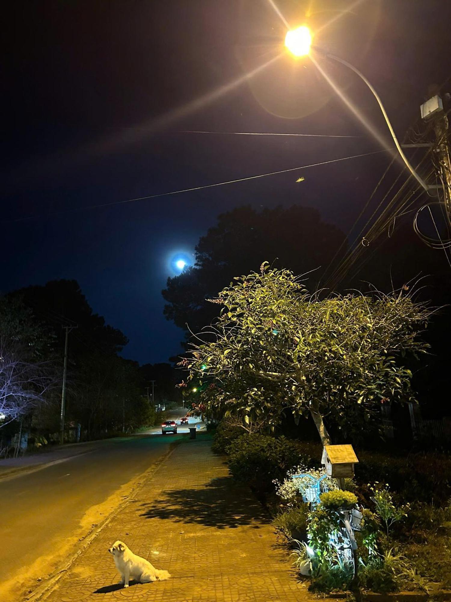 Chino Homestay Măng Đen Kon Tum Ngoại thất bức ảnh