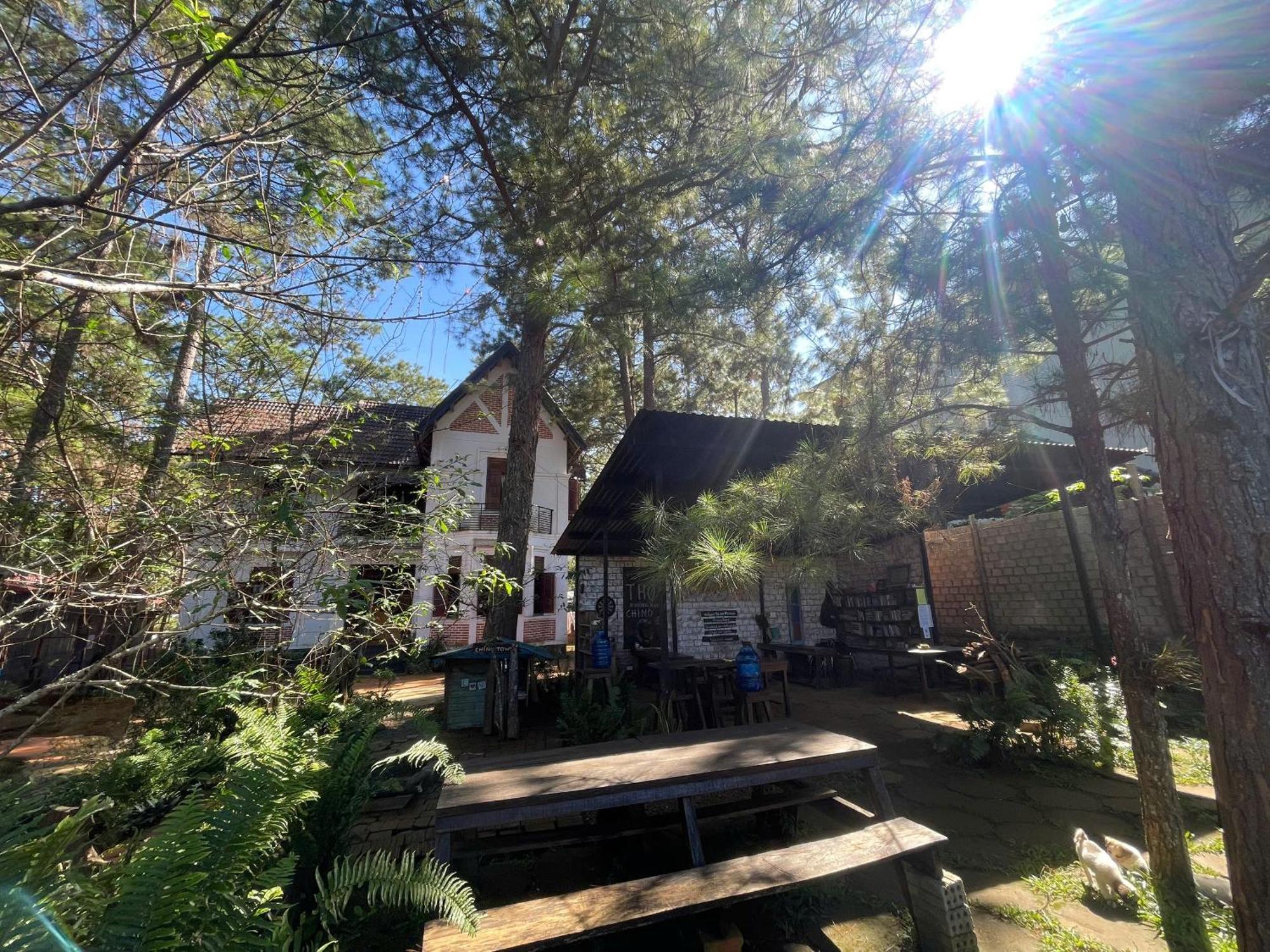 Chino Homestay Măng Đen Kon Tum Ngoại thất bức ảnh